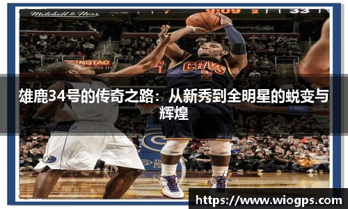 雄鹿34号的传奇之路：从新秀到全明星的蜕变与辉煌